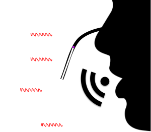 Voice Tube Diagram